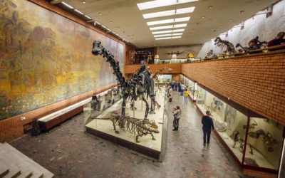 Ośrodek kultury morskiej oddział narodowego muzeum morskiego – odkryj fascynujący świat morskiej historii